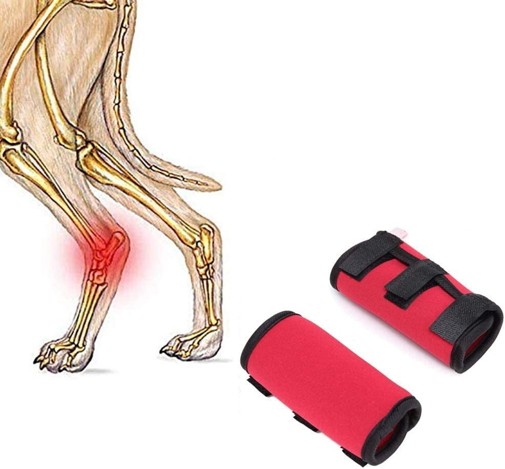 Neopren-Hundeknie-Schutzausrüstung – Gelenkschutz & Komfort für aktive & ältere Hunde / Gelenkstütze & Schutz bei Arthrose, Verletzungen & Instabilität - 4every1shop.de