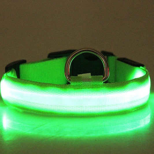 LED-Hundehalsband für kleine, mittelgroße &amp; große Hunde. Sichtbar bei Nacht, sicher &amp; stylisch für Gassi, Spaziergänge und Outdoor-Abenteuer. - 4every1shop.de