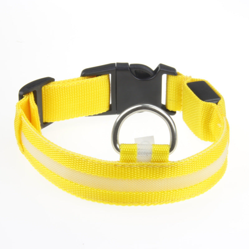 LED-Hundehalsband für kleine, mittelgroße &amp; große Hunde. Sichtbar bei Nacht, sicher &amp; stylisch für Gassi, Spaziergänge und Outdoor-Abenteuer. - 4every1shop.de