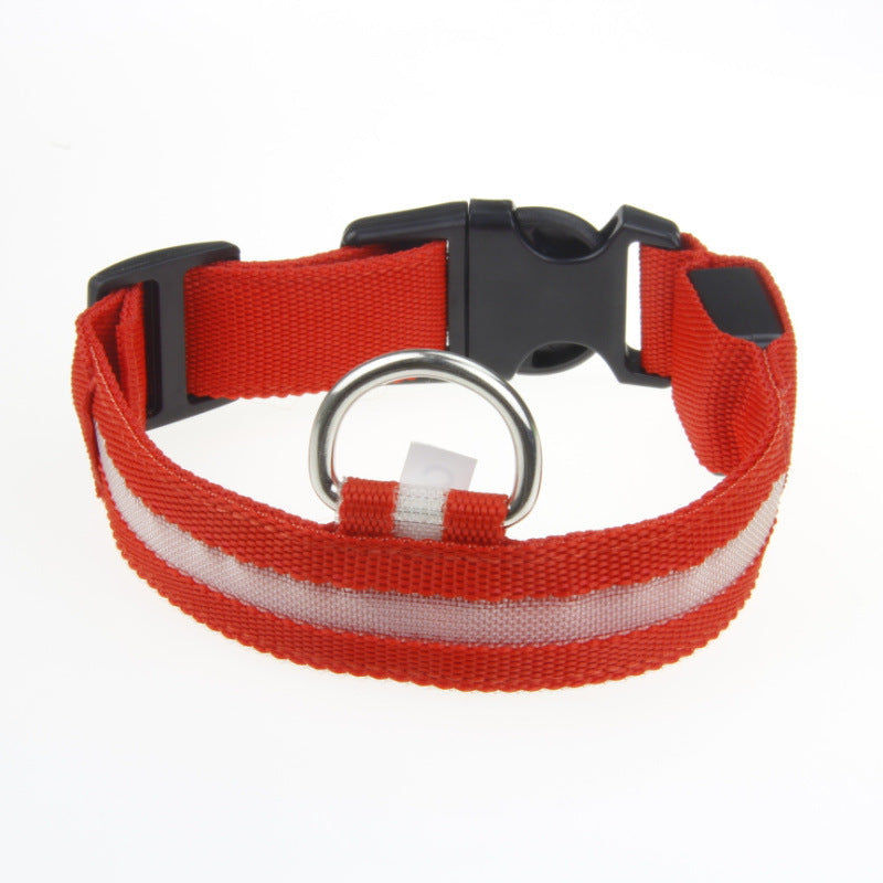 LED-Hundehalsband für kleine, mittelgroße &amp; große Hunde. Sichtbar bei Nacht, sicher &amp; stylisch für Gassi, Spaziergänge und Outdoor-Abenteuer. - 4every1shop.de