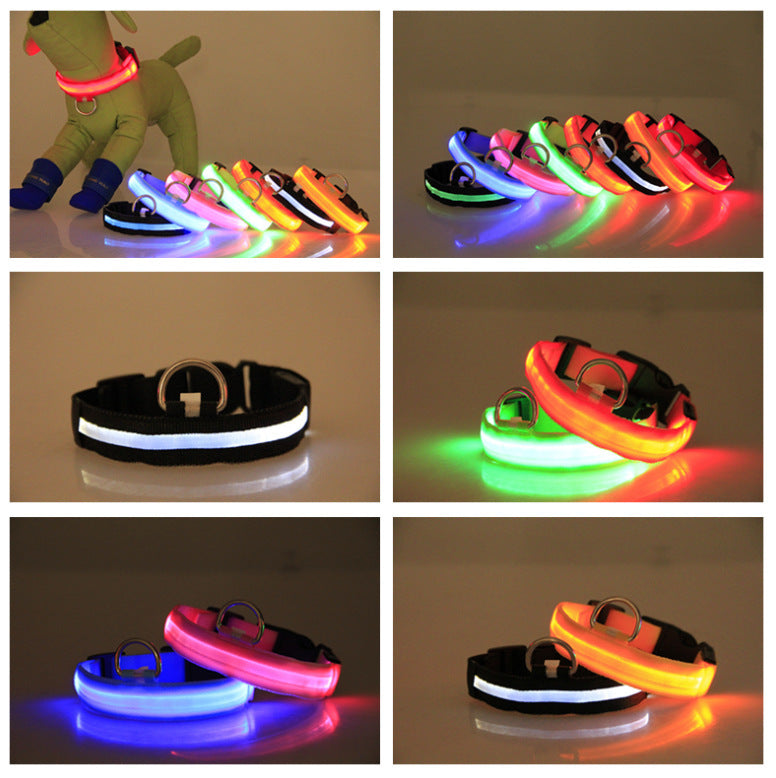 LED-Hundehalsband für kleine, mittelgroße &amp; große Hunde. Sichtbar bei Nacht, sicher &amp; stylisch für Gassi, Spaziergänge und Outdoor-Abenteuer. - 4every1shop.de