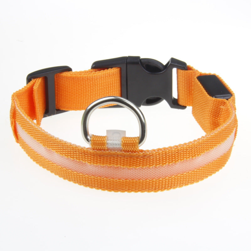 LED-Hundehalsband für kleine, mittelgroße &amp; große Hunde. Sichtbar bei Nacht, sicher &amp; stylisch für Gassi, Spaziergänge und Outdoor-Abenteuer. - 4every1shop.de