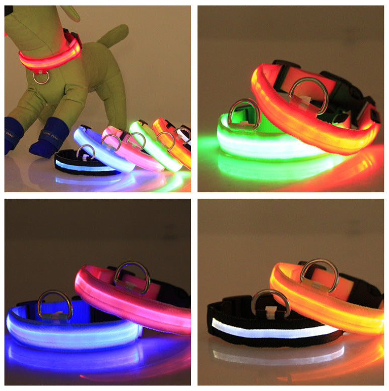LED-Hundehalsband für kleine, mittelgroße &amp; große Hunde. Sichtbar bei Nacht, sicher &amp; stylisch für Gassi, Spaziergänge und Outdoor-Abenteuer. - 4every1shop.de