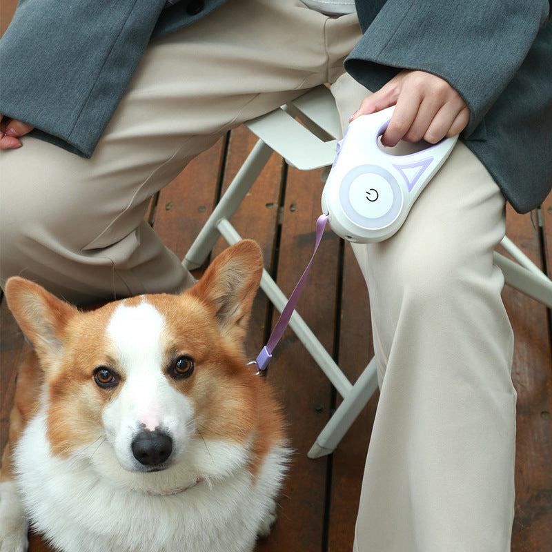 Flexileine mit LED-Taschenlampe – Sicherheit & Bewegungsfreiheit für Hunde - 4every1shop.de