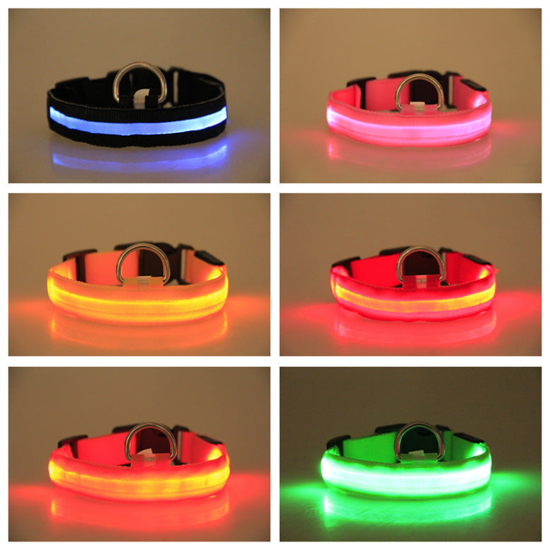LED-Hundehalsband für kleine, mittelgroße &amp; große Hunde. Sichtbar bei Nacht, sicher &amp; stylisch für Gassi, Spaziergänge und Outdoor-Abenteuer. - 4every1shop.de