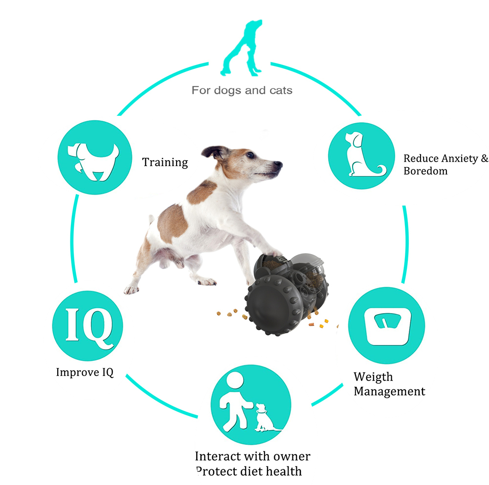 Spiel, Spaß & Gesundheit – der clevere Futterwagen für Hunde & Katzen – Intelligentes Futter- & Lernspielzeug | Anti-Schling Spielzeug - 4every1shop.de
